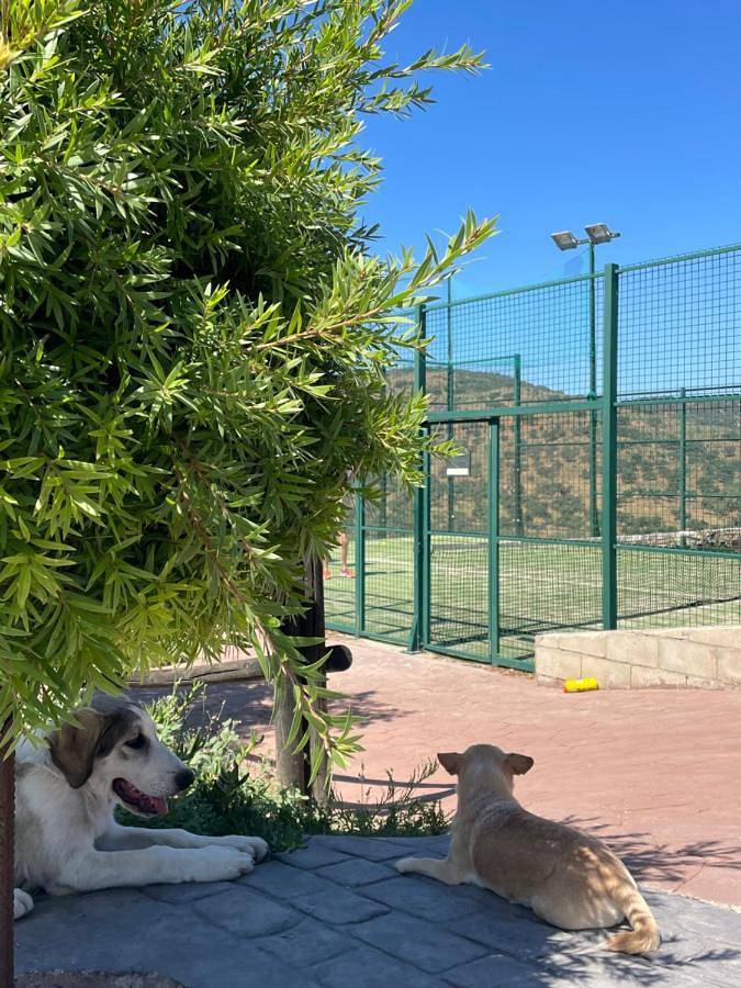 Chalet para 6 personas, con vistas y terraza además de piscina y jardín, Se admiten mascotas en Provincia de Badajoz - 2