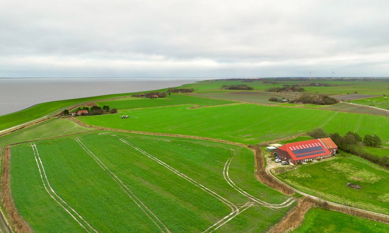 Ganze Ferienwohnung, Sömmerland, Exklusive 4-Sterne-Fewo von 2024, Sonnenterrasse, 150 m zur Nordsee, eigener Zugang in Ostbense, Neuharlingersiel