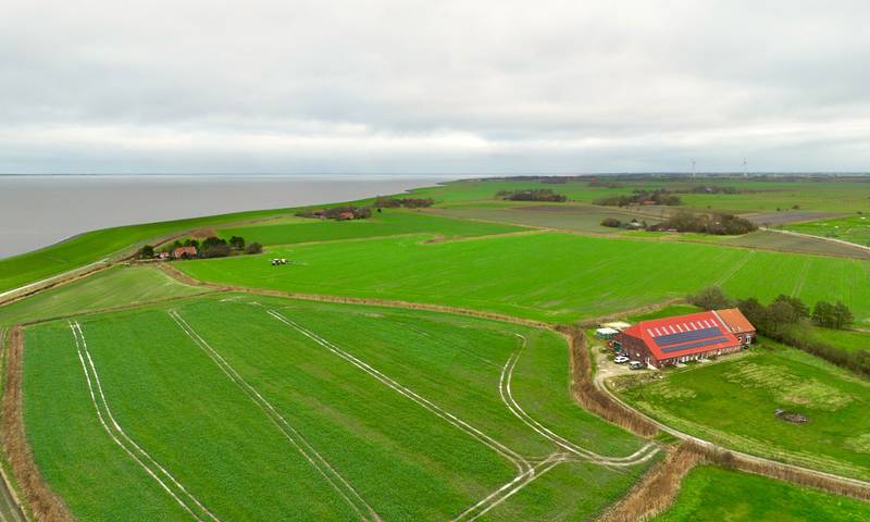 Vakantiewoning voor 2 personen, met uitzicht en tuin in Neuharlingersiel