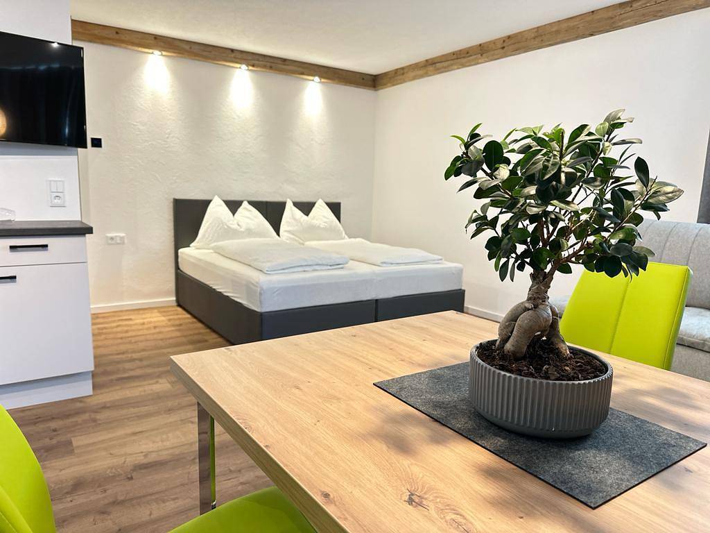 Geheel vakantieappartement, Appartement/Fewo, Dusche, Wc, 1 Schlafraum in Iselsberg-Stronach, Oost-Tirol