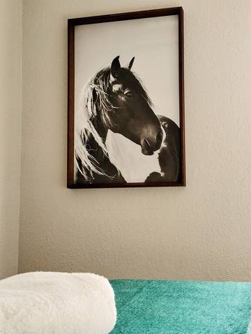 Bed And Breakfast for 4 Guests in Colorado Springs, South Central Colorado, Picture 2