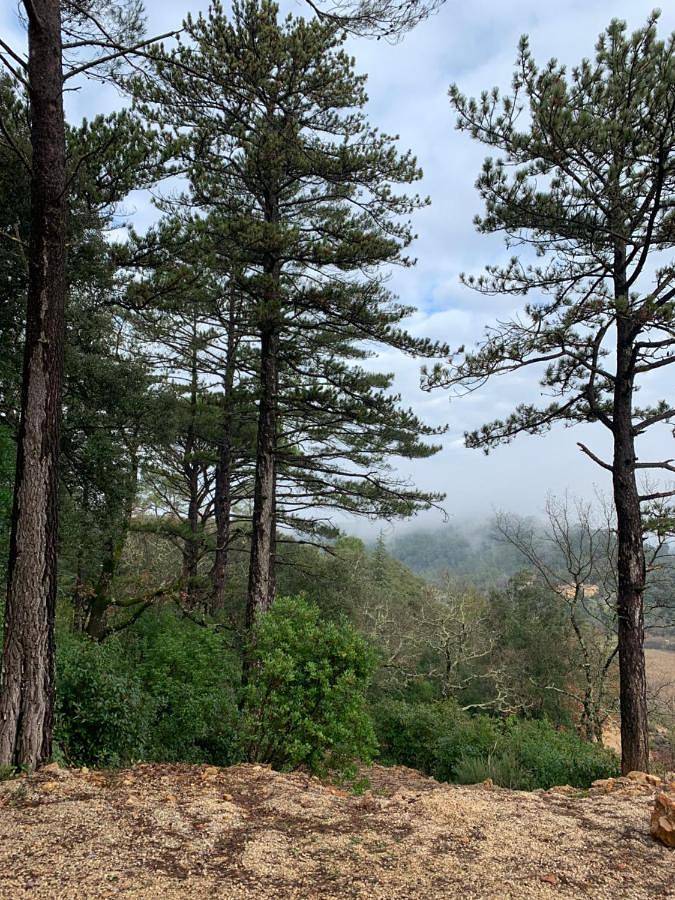 Chambre d’hôte pour 2 personnes, avec vue et jardin