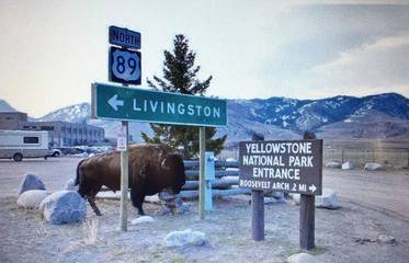 Vacation Apartment for 3 Guests in Custer Gallatin National Forest, Montana, Picture 1