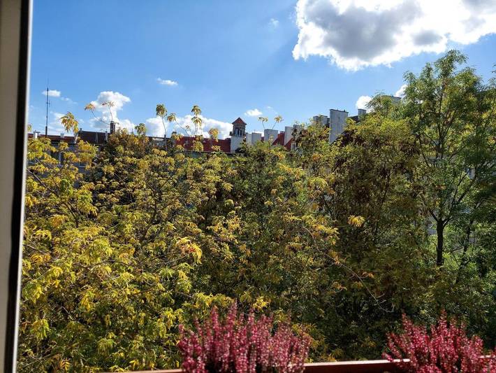 Ferienwohnung für 2 Personen, mit Ausblick in Allenstein - 4