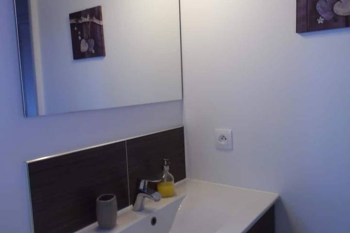 Gîte pour 6 personnes, avec jardin à Saint-Genès-Champespe - 4