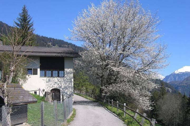 Ferienhaus für 8 Personen, mit Garten und Pool - 1