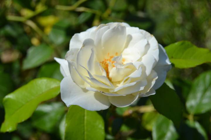 Chambre d’hôte pour 2 personnes, avec piscine et jardin dans les Bouches-du-Rhône - 3