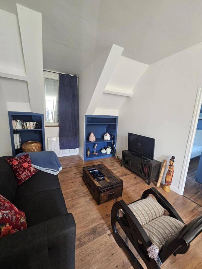 Gîte pour 2 personnes, avec terrasse, animaux acceptés à Sully-sur-Loire - 3