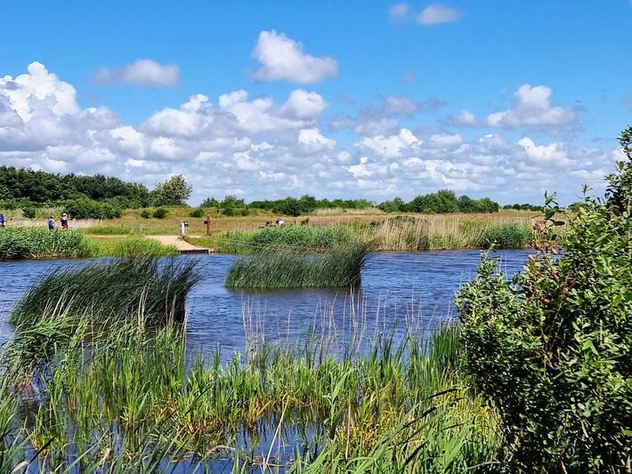 Ferienhaus für 10 Personen, mit Terrasse und Sauna am Ringkøbing Fjord - 3