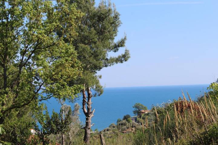 Aparthotel para 3 personas, con vistas además de jardín y terraza - 1