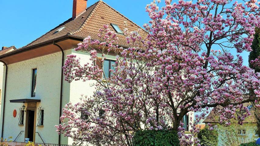 Ferienwohnung für 4 Personen, mit Garten in Bad Bergzabern - 2
