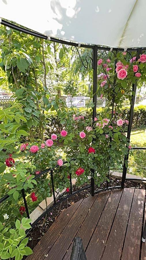 Ferienwohnung für 4 Personen, mit Garten in Bad Liebenstein - 2