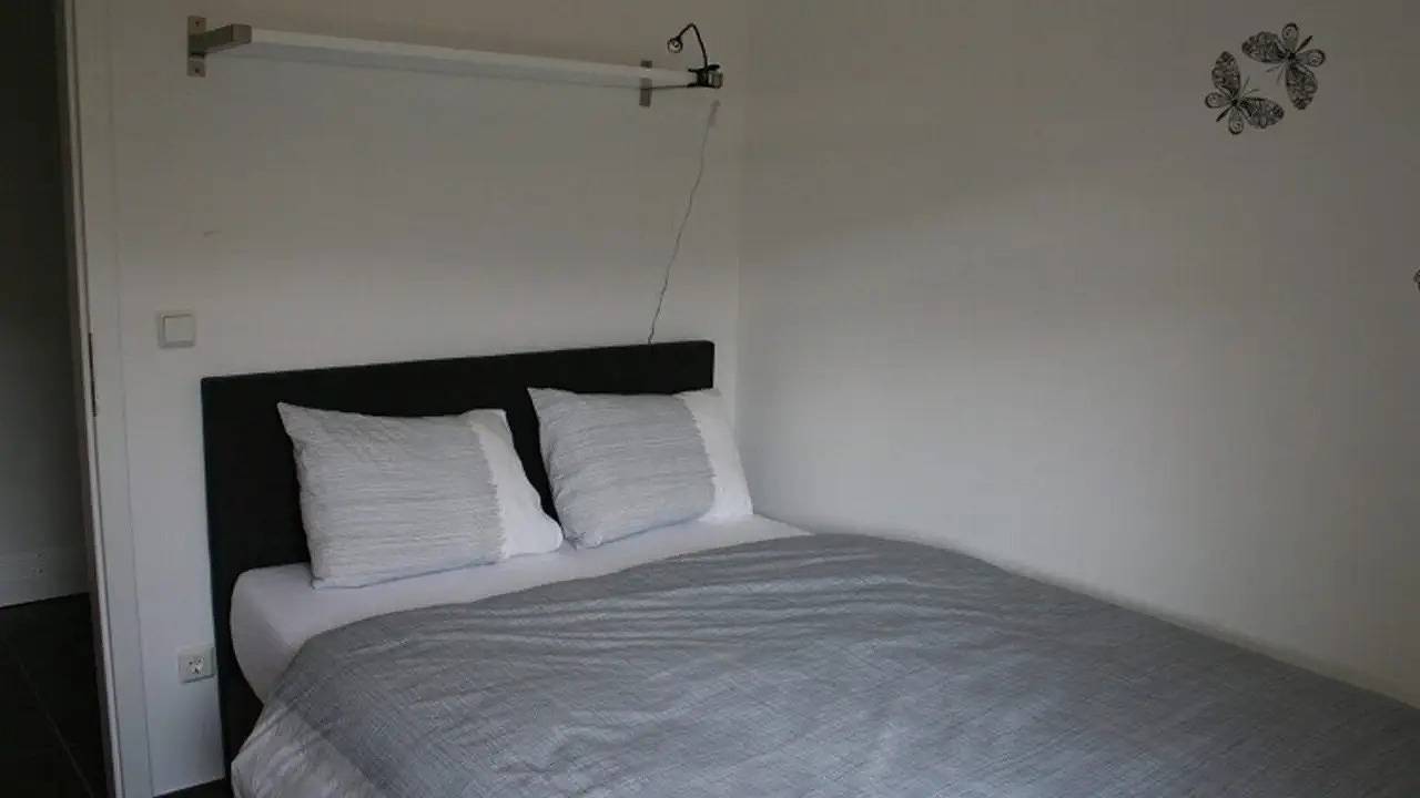 Ganze Ferienwohnung, Ferienwohnung für 4 Personen (65 m²) in Willingen (Upland) in Willingen, die Mittelgebirge