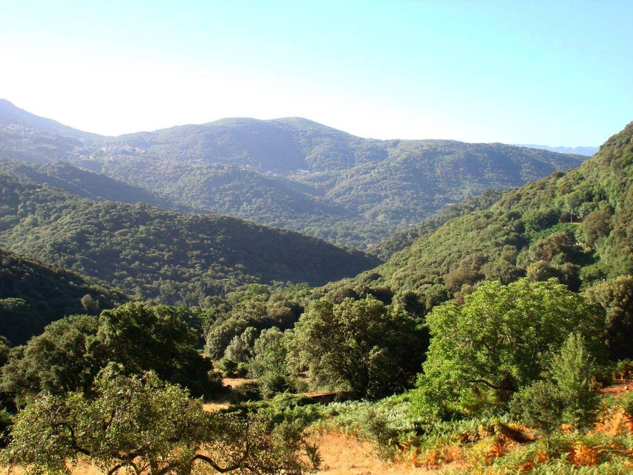 Appartement entier, Rez de Villa in Loreto-di-Tallano, Parc naturel régional de Corse