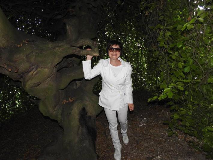 Location de vacances pour 2 personnes, avec terrasse et jardin, animaux acceptés à Épernay - 4