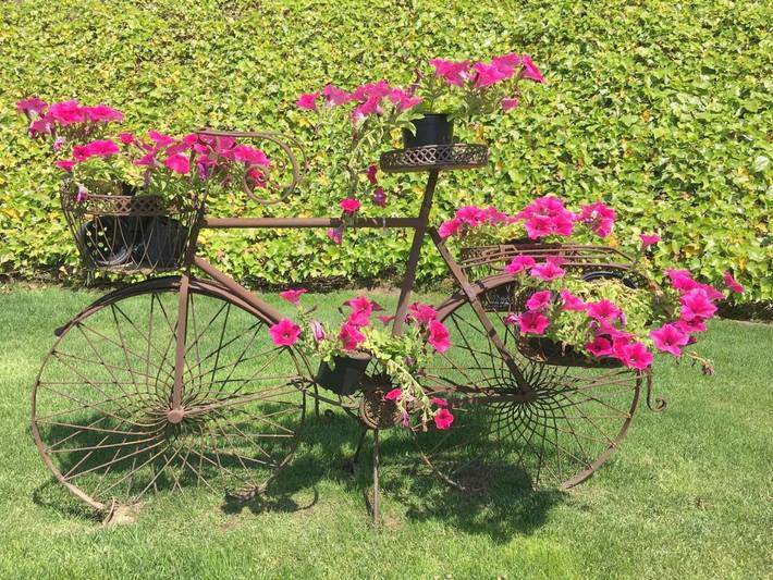 Casa rural para 2 personas, con terraza y piscina además de vistas y jardín en Provincia de La Coruña - 3