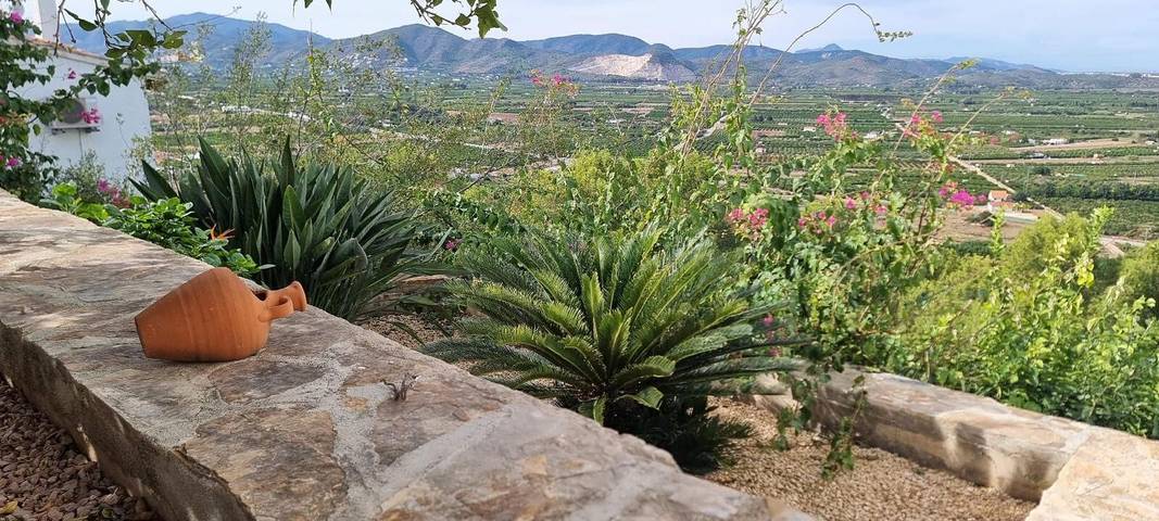 Casa rural para 8 personas, con Jardín en Pego - 4