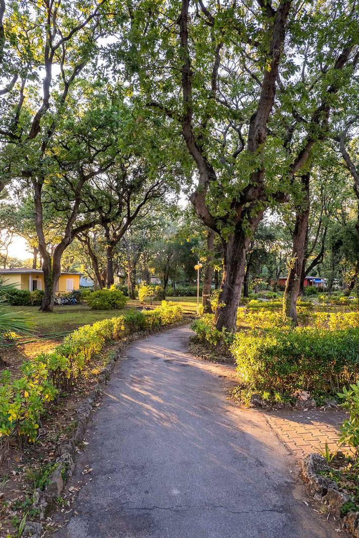 Bungalow für 6 Personen, mit Garten in San Vincenzo - 4