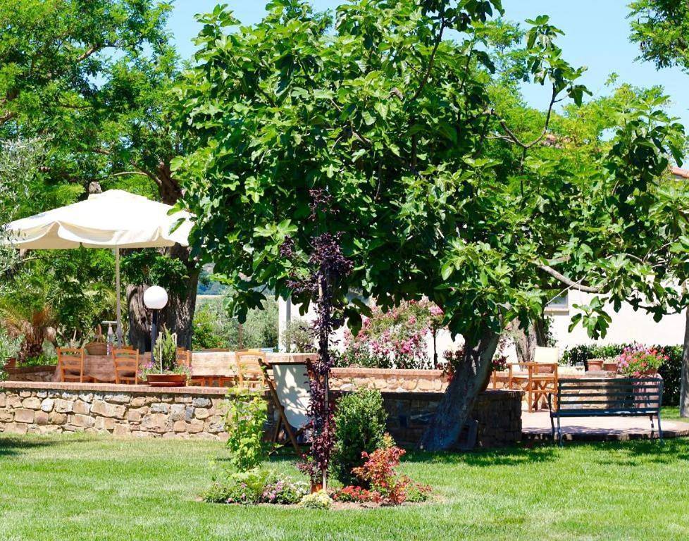 Agriturismo Vecchio Imposto in Massa Marittima, Provincia di Grosseto
