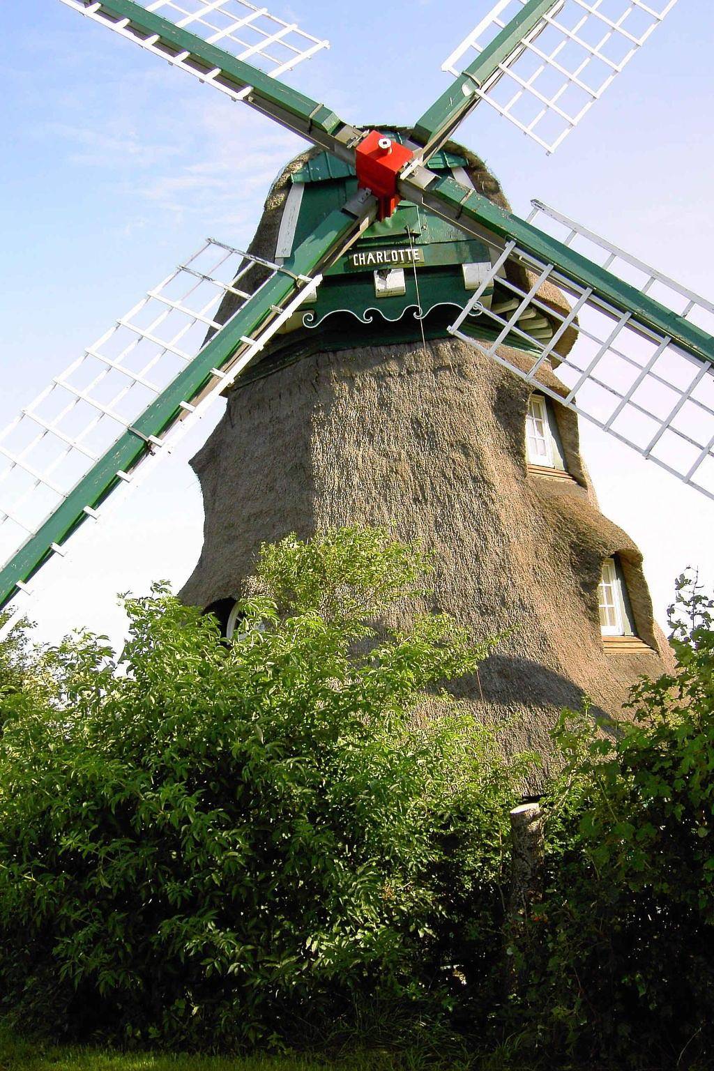 Dänemark in Gelting, foto 14