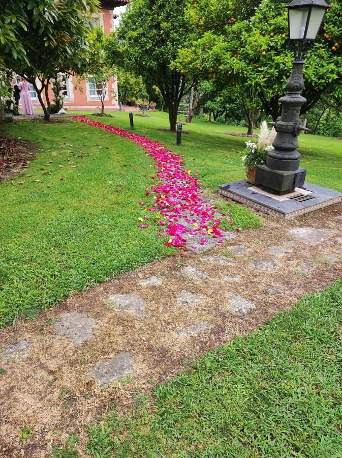 Apartamentos y habitaciones Quinta La Espadaña apartamentos y habitaciones Quinta la Espadaña in Villaviciosa , Costa Verde