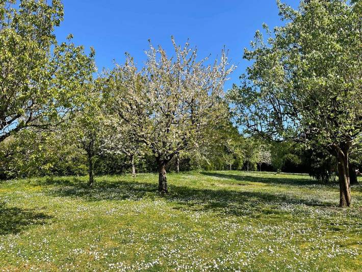 Chambre d’hôte pour 6 personnes, avec jardin, animaux acceptés à Civray-de-Touraine - 3