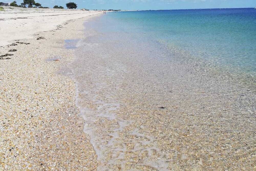 La belle hermine du haut de la plage vue mer in Sarzeau, Côte des Mégalithes