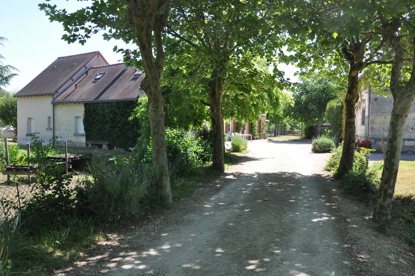 La Bergerie - Domaine Les Drageonnières in Montrichard, Région de Blois