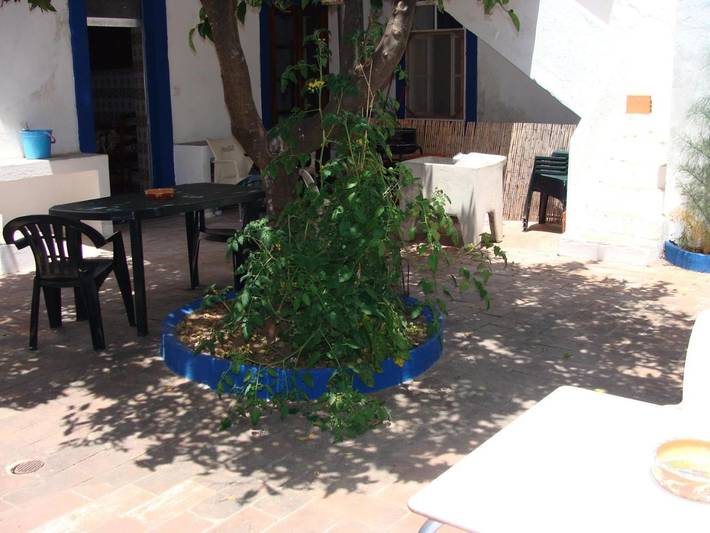 Maison d’hôte pour 3 personnes, avec jardin à Tavira - 4