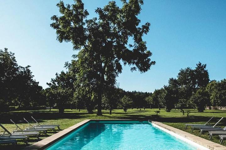Location de vacances pour 22 personnes, avec terrasse ainsi que piscine et jardin, animaux acceptés à Saint-Martory - 4