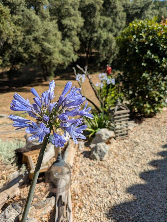 Gîte pour 2 personnes, avec jardin ainsi que terrasse et piscine à Taradeau - 2