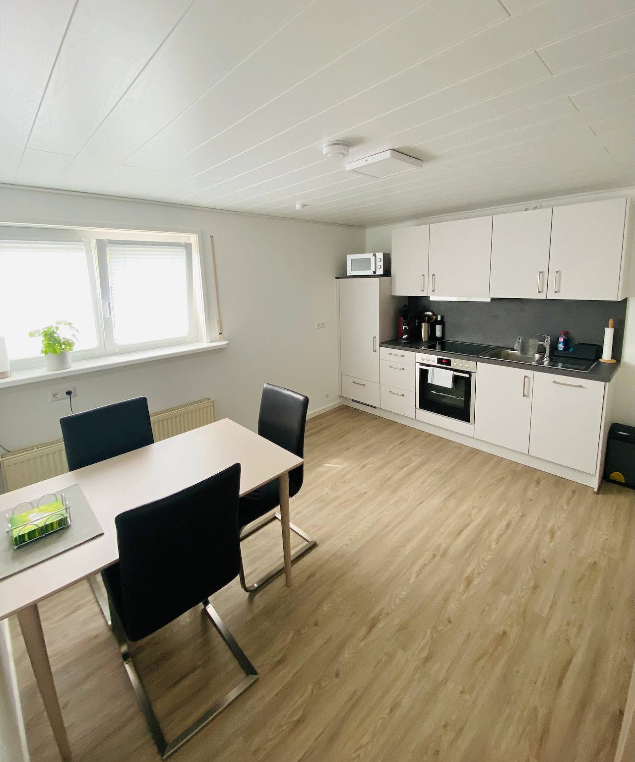 Ganze Wohnung, Apartment 'Haus Birkenösch' mit privater Terrasse, Gemeinschaftsgarten und Wlan in Pfullendorf, Region Bodensee-Oberschwaben