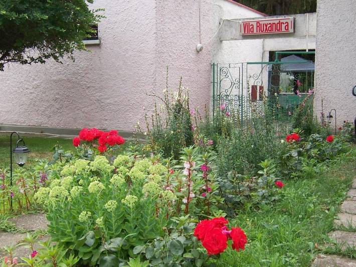 Maison d’hôte pour 2 personnes, avec Jardin dans Constanța - 3