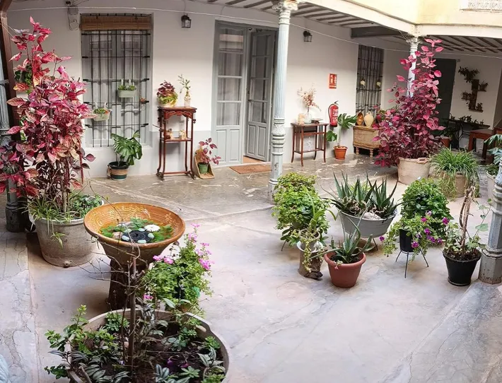 Ferienhaus für 5 Personen, mit Terrasse, mit Haustier - 1