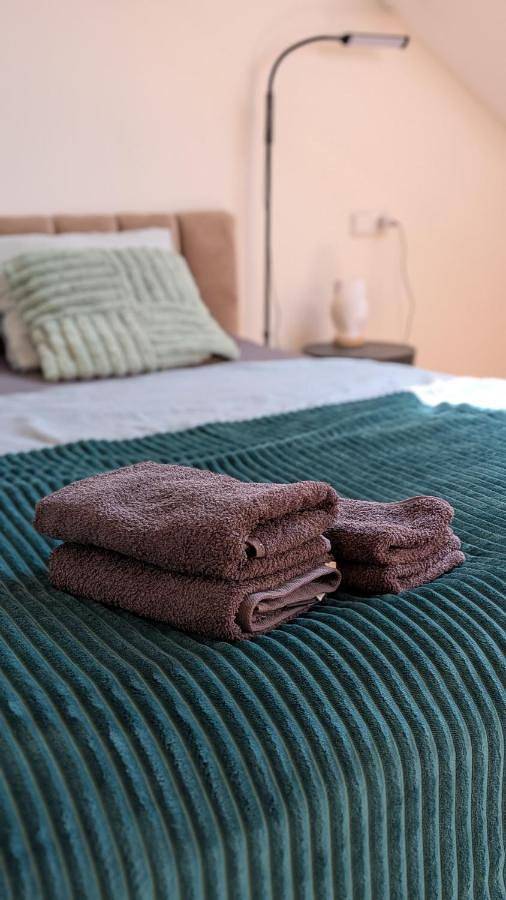 Appartement entier, Apartmán Palackého sady - pohoda v srdci města in Písek, Région de Písek