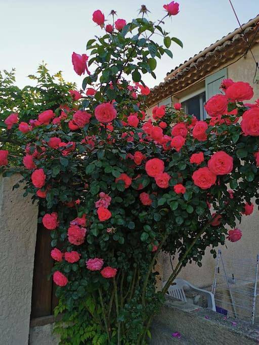 Gîte pour 4 personnes, avec piscine ainsi que jardin et vue à Aubagne - 3