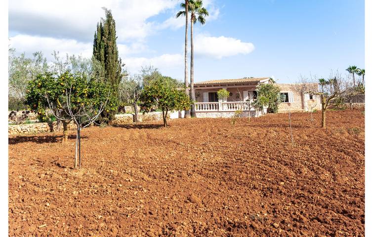Bungalow für 5 Personen, mit Pool und Terrasse auf den Balearen - 2