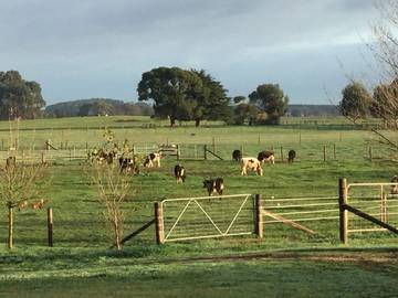 Guesthouse for 4 People in South Australia, Photo 1