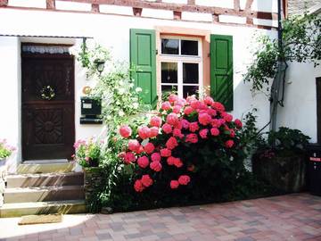 Ferienhaus für 4 Personen in Andel, Bernkastel-Kues, Bild 4