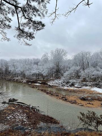 Log Cabin for 2 Guests in Ozark Mountains, Missouri, Picture 2