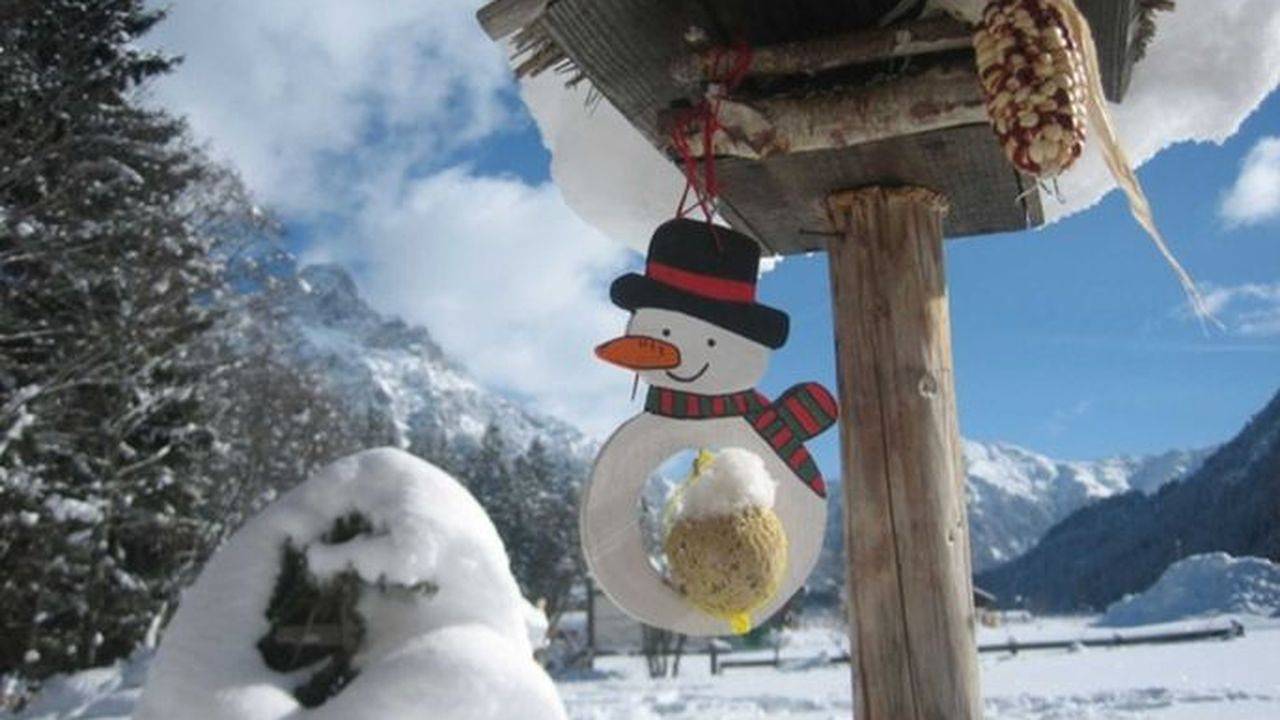 Ganze Ferienwohnung, Ferienwohnung für 2 Personen (58 m²) in Haldensee in Grän, Allgäuer Alpen (Österreich)