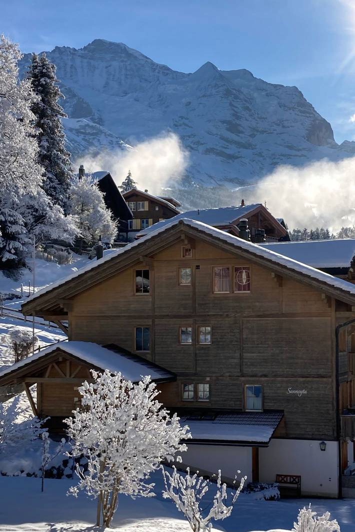 Gîte pour 5 personnes, avec balcon dans Wengen - 2