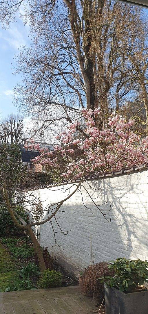 Chambre d'hôtes 25 m² dans belle maison Bruxelloise - Chambre in Saint-Gilles (Belgique), Flandre