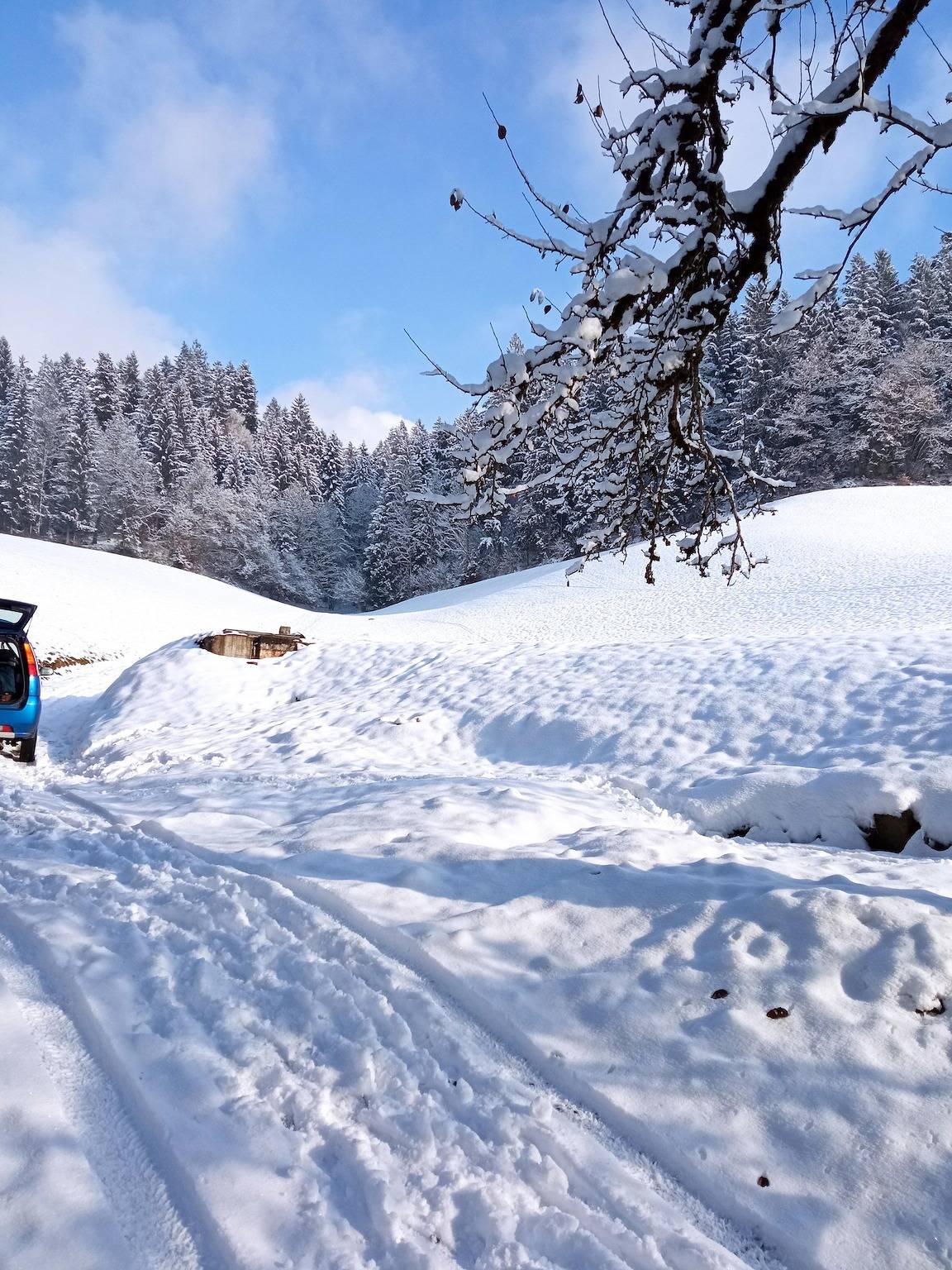 Geheel vakantieappartement, Ferienwohnung Oberlehen in Hopfgarten im Brixental, Kitzbüheler Alpen
