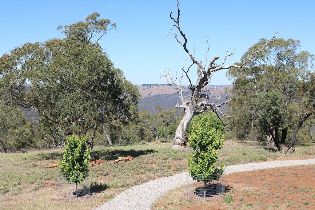 'The Barn' - Landausflug ideal für Paare und Familien - Spielzimmer und Wildtiere in New South Wales