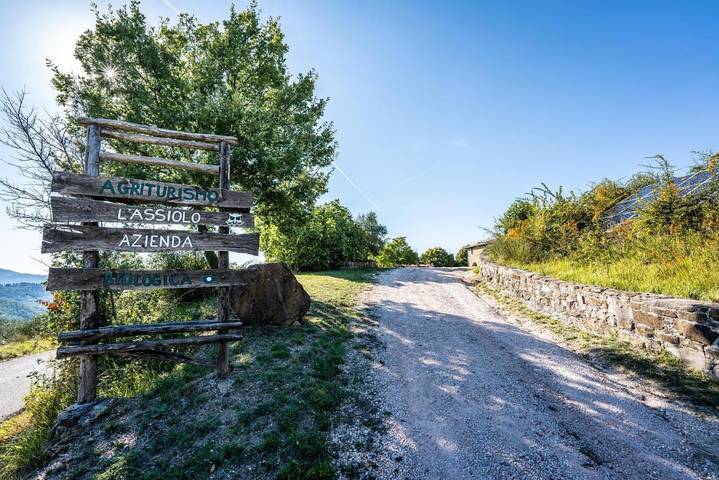 Maison de campagne pour 19 personnes, avec jardin ainsi que piscine et vue à Gualdo Tadino - 3