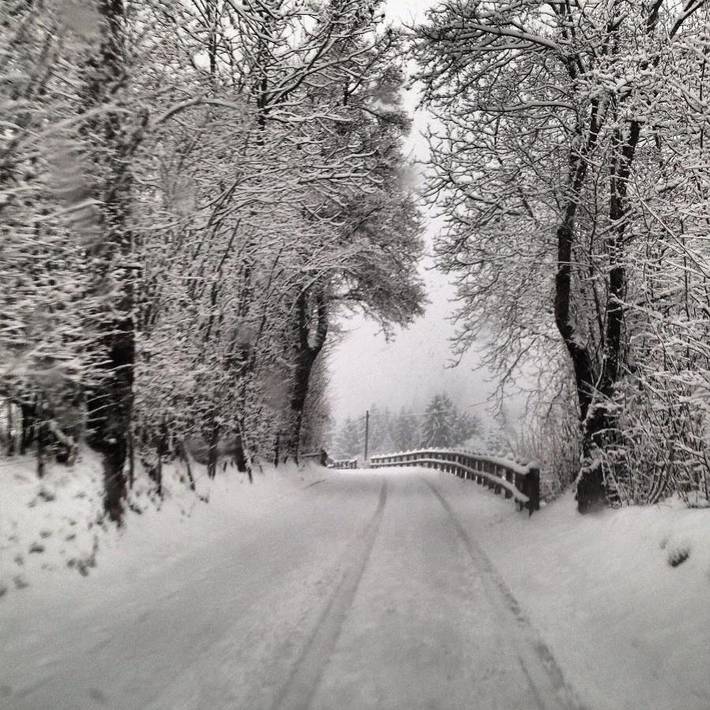 Gîte pour 4 personnes, avec vue, animaux acceptés à Molina di Ledro - 2