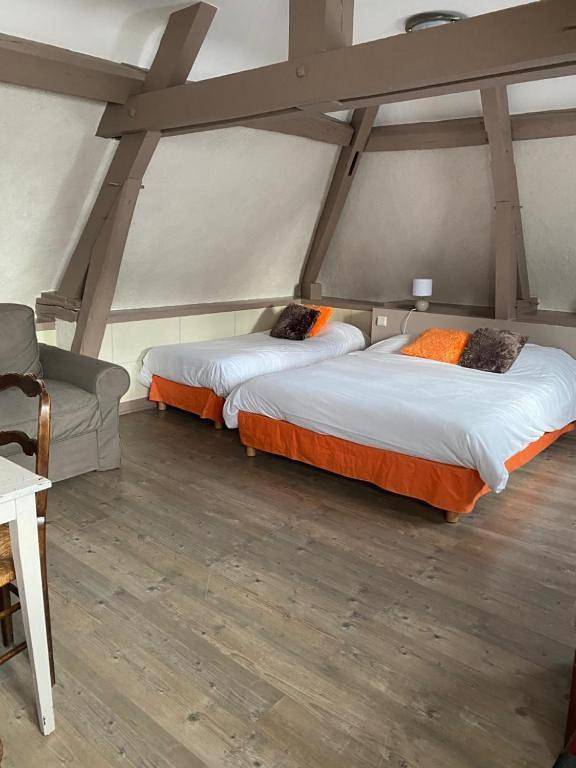 Hôtel pour 2 personnes, avec jardin et piscine, animaux acceptés à Chenonceaux - 3