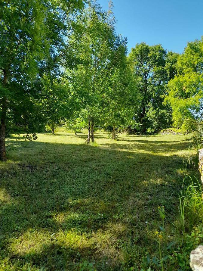 Location de vacances pour 7 personnes, avec jardin et terrasse à Belvèze - 4