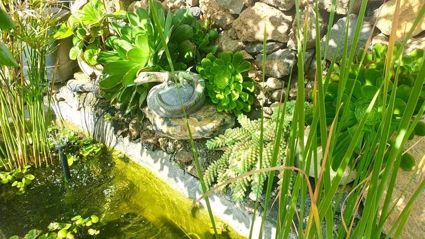 Casa rural para 4 personas, con jardín y vistas en El Paso - 4